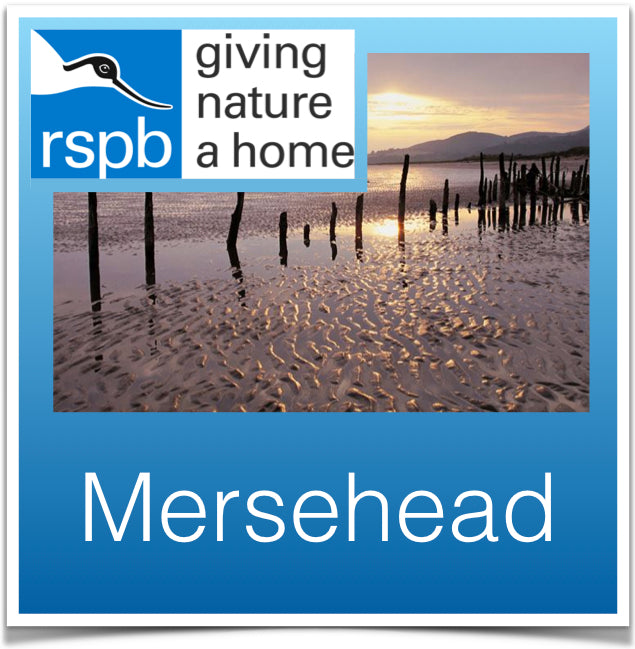 Mersehead RSPB