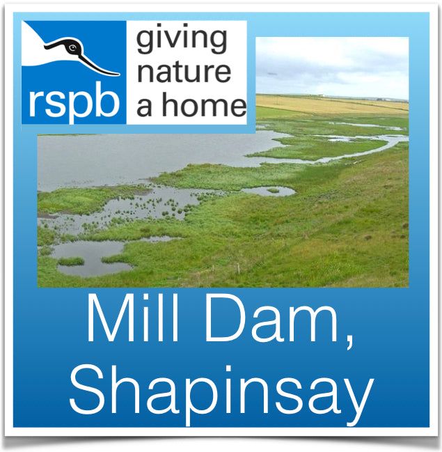 Mill Dam, Shapinsay