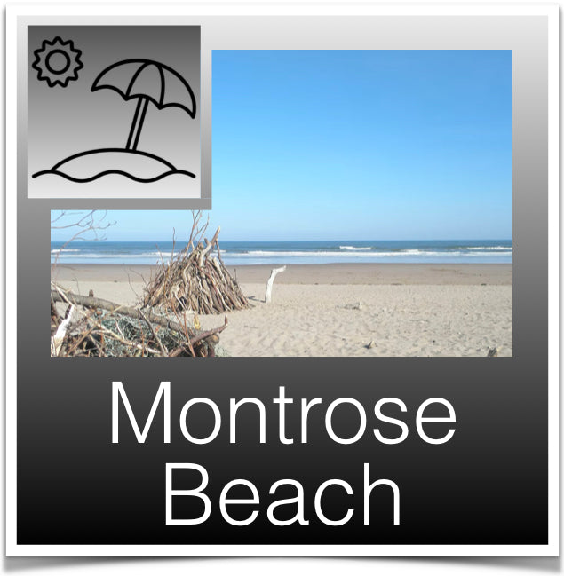 Montrose Beach