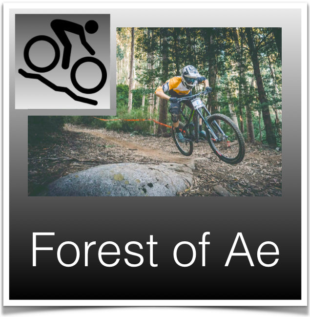 Forest of Ae