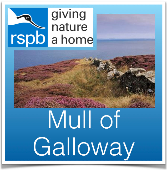 Mull of Galloway