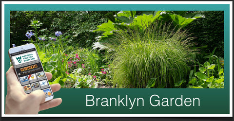 Branklyn Garden Image