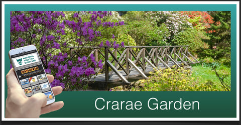 Crarae Garden