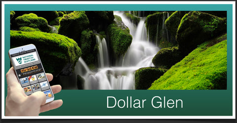 Dollar Glen image