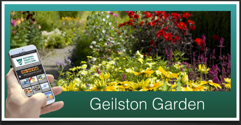 Geilston Garden