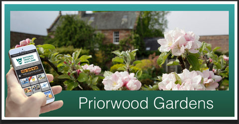 Priorwood Gardens image