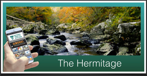 The Hermitage image