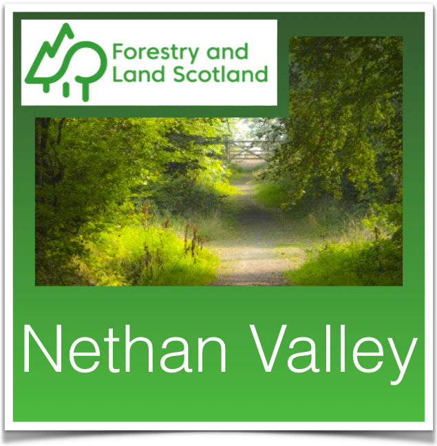 Nethan Valley