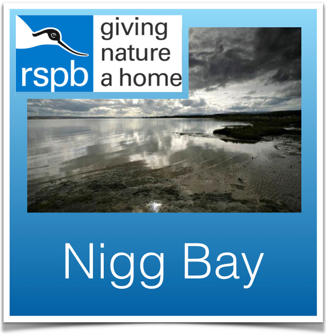 Nigg Bay