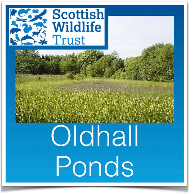 Oldhall Ponds