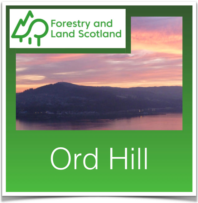 Ord Hill