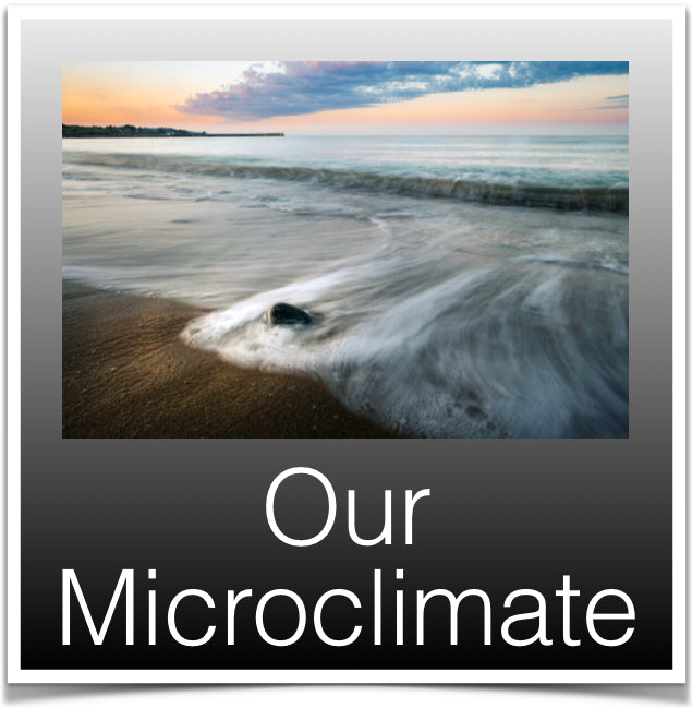 Our Microclimate