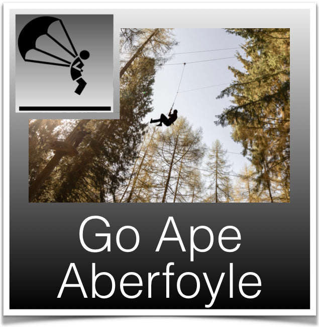 Go Ape Aberfoyle
