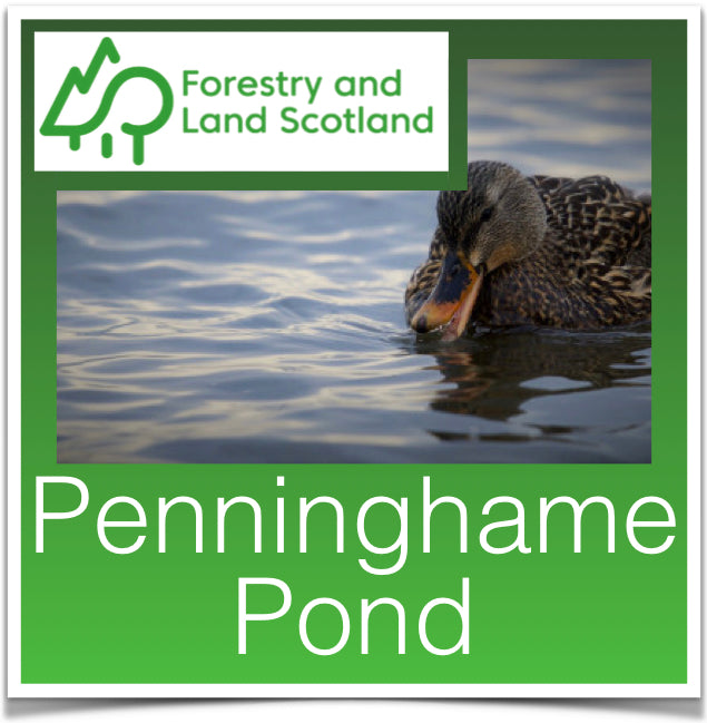 Penninghame Pond