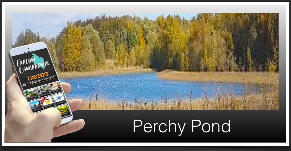 Perchy Pond image
