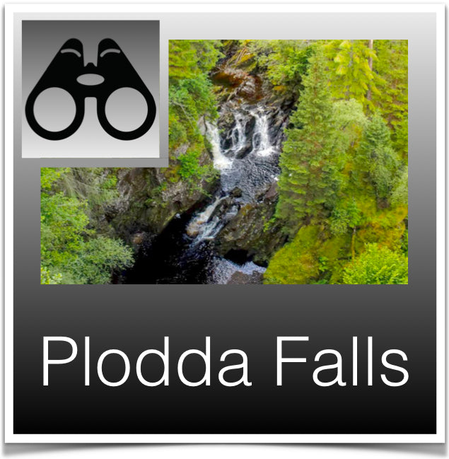 Plodda Falls