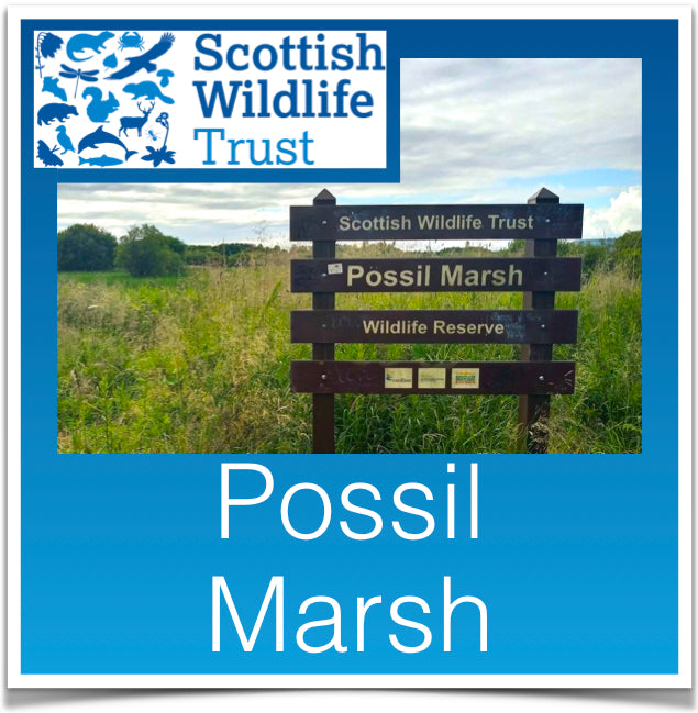 Possil Marsh