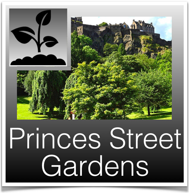 Princes Street Gardens