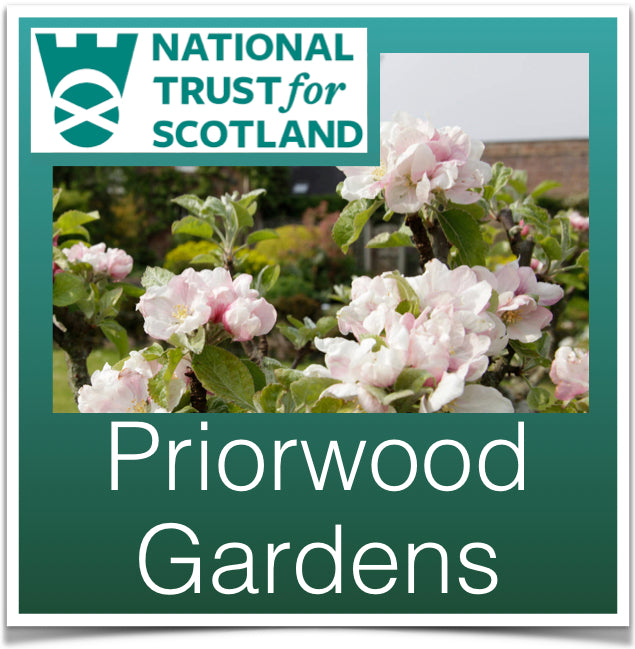 Priorwood Garden
