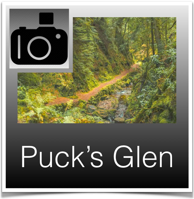 Puck's Glen