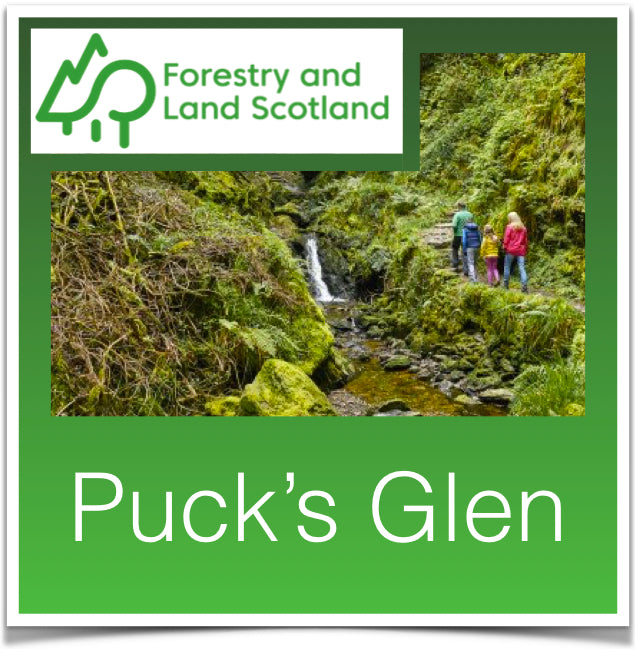 Puck's Glen