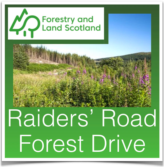 Raiders Road Forest Drive