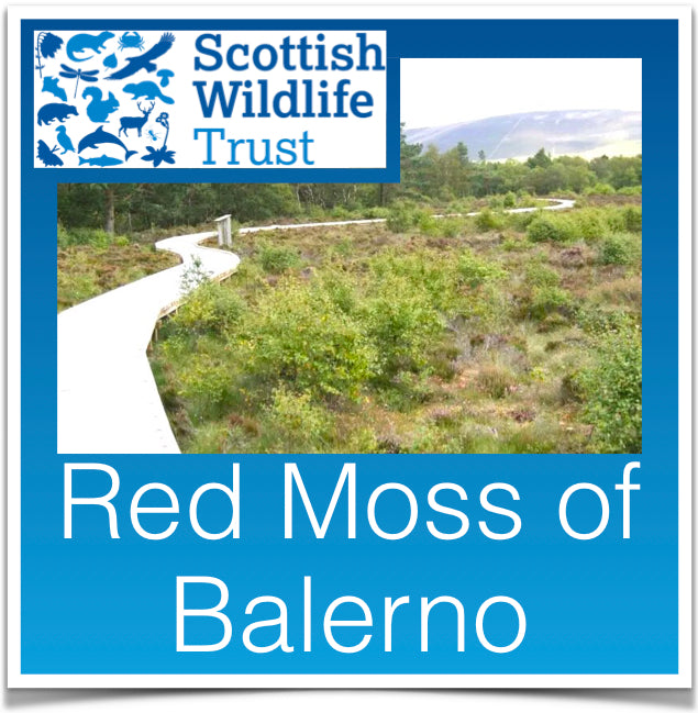 Red Moss of Balerno