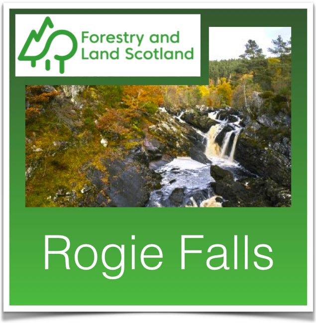 Rogie Falls