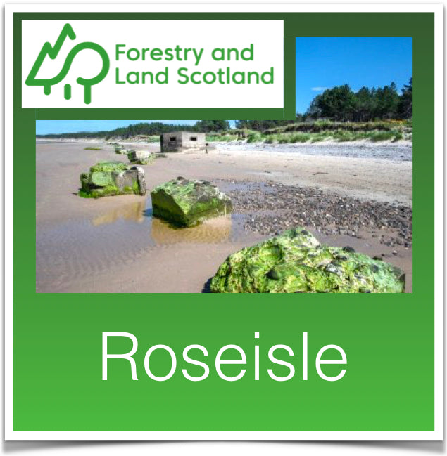 Roseisle