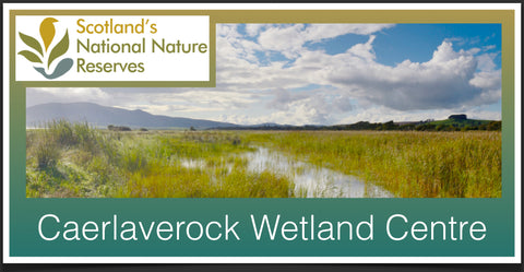 Caerlaverock National Nature Reserve