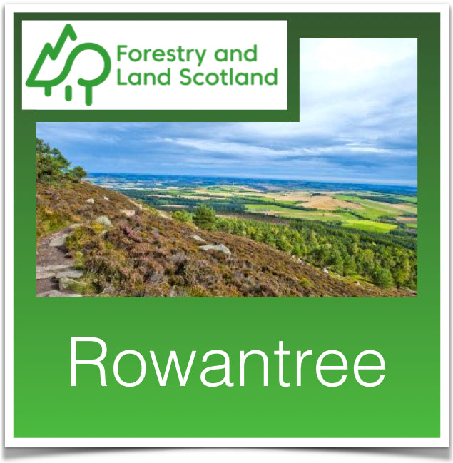 Rowantree