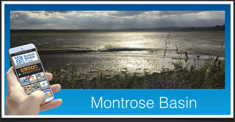 Montrose Basin image