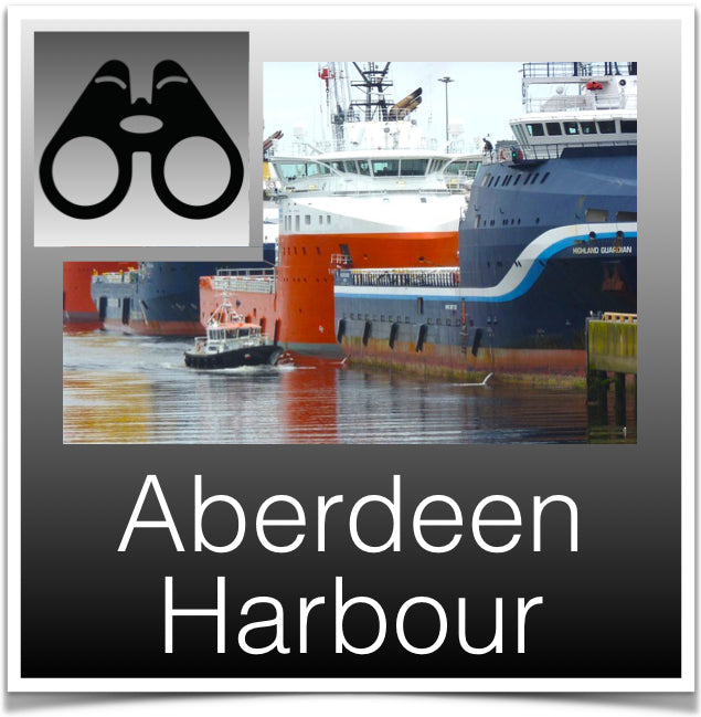 Aberdeen Harbour