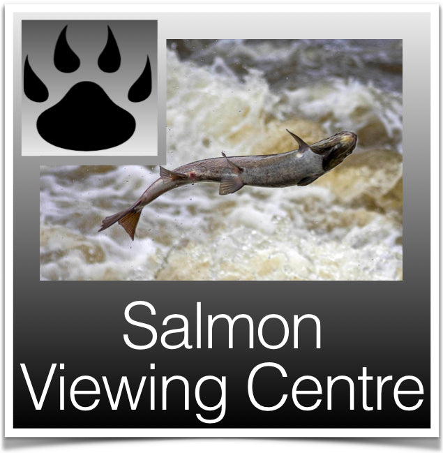 Salmon Viewing Cntre Image