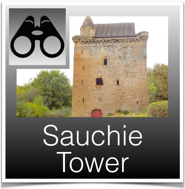 Sauchie Tower