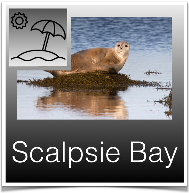 Scalpsie Bay