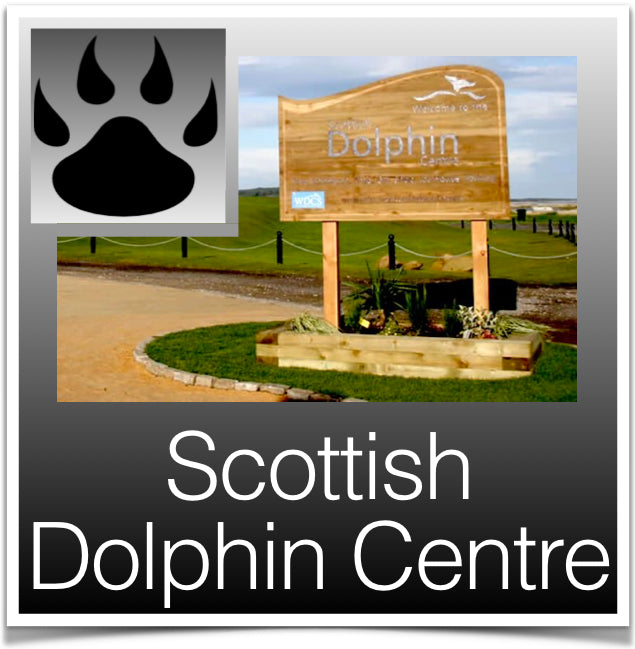 Scottish Dolphin Centre