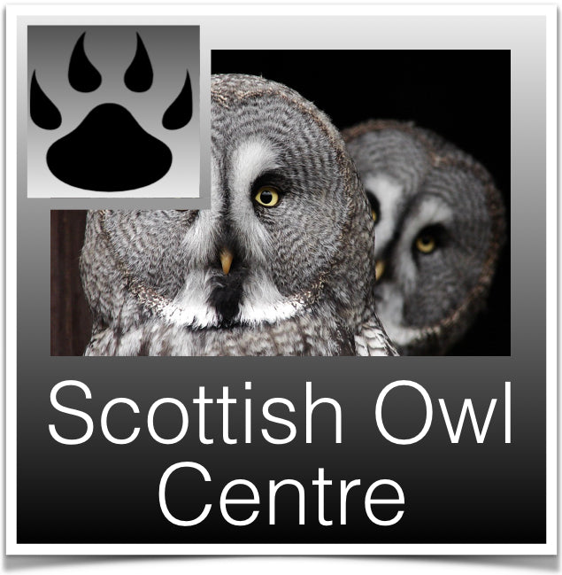 Scottish Owl Centre