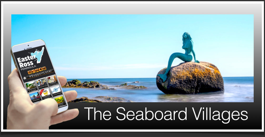 Seaboard Header Image