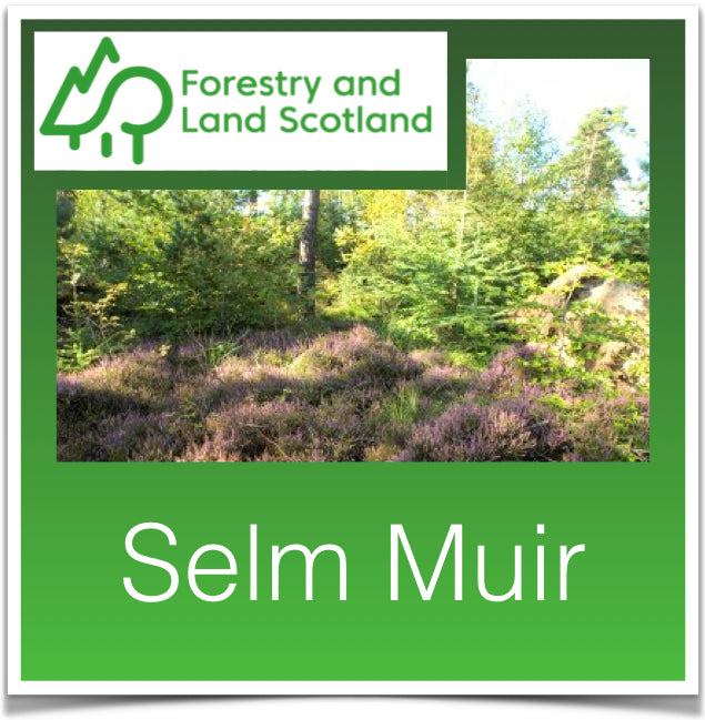 Selm Muir