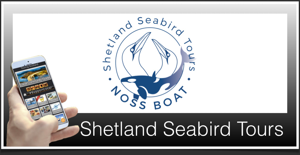 Shetland Seabird Tours - Scotland Tour Guide