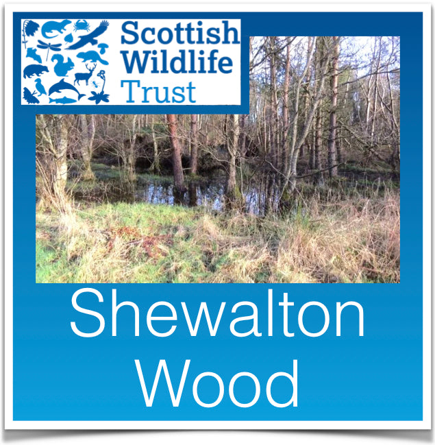 Shewalton Wood