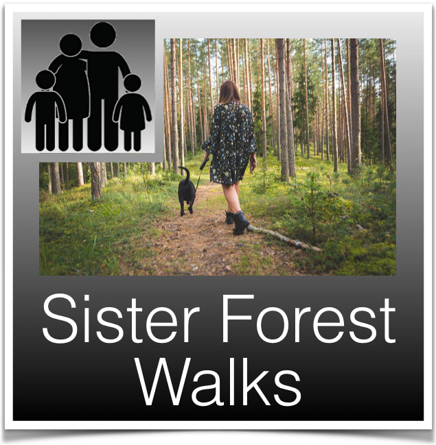 Sibster Forest Walks