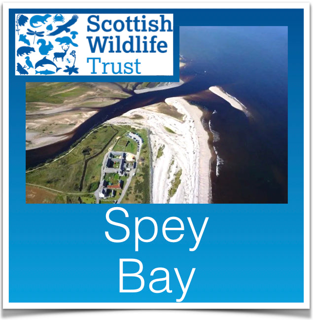 Spey Bay