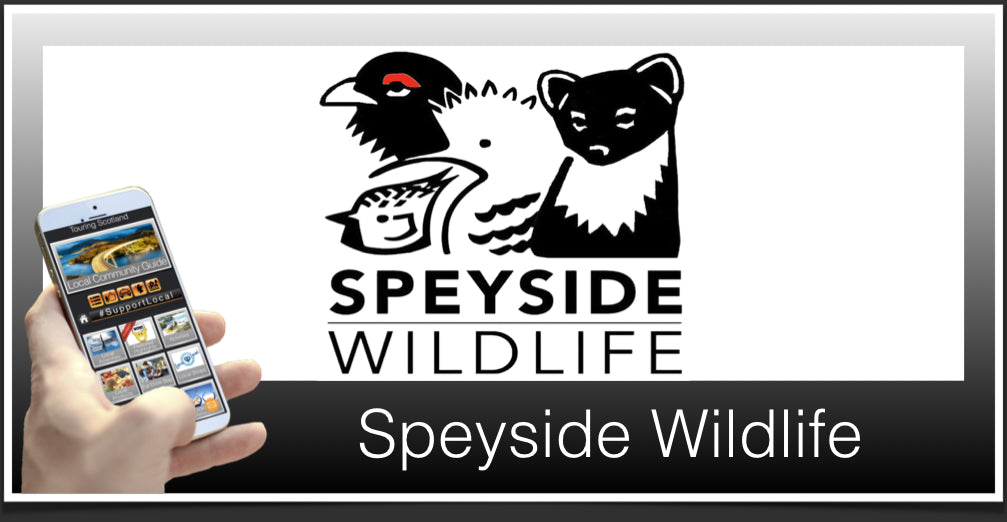Speyside Wildlife