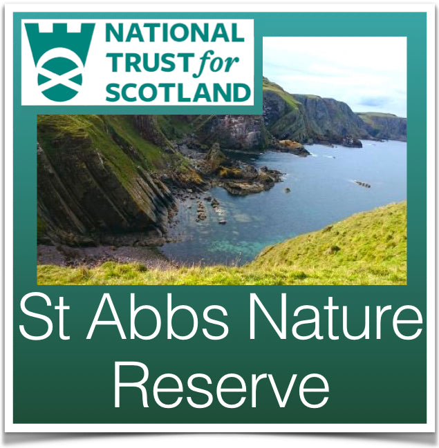 St Abbs Nature Reserve