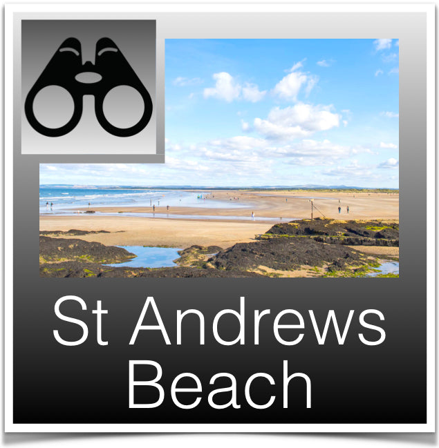 St Andrews Beach
