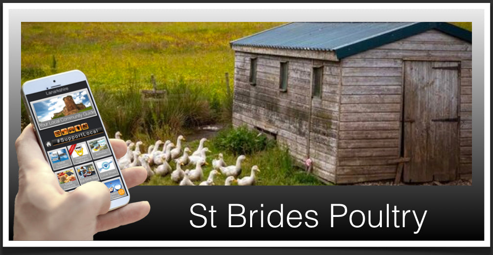 St Brides Poultry Header image