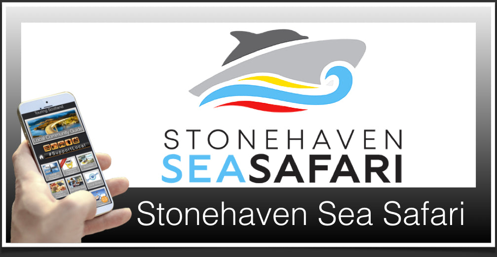 Stonehaven Sea Safari