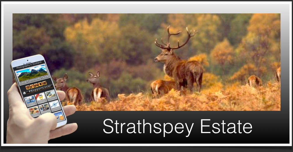 Strathspey Estate